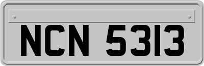 NCN5313