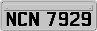 NCN7929