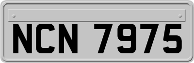 NCN7975