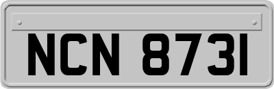 NCN8731