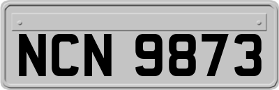 NCN9873