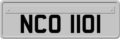 NCO1101