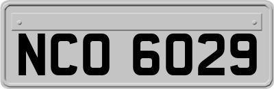 NCO6029