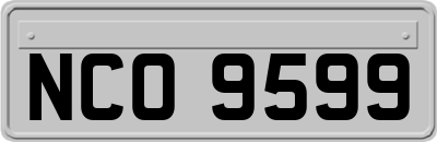 NCO9599