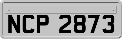 NCP2873