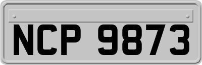 NCP9873