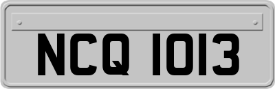 NCQ1013