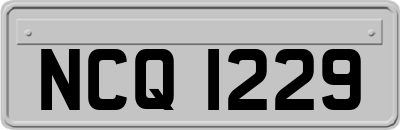 NCQ1229