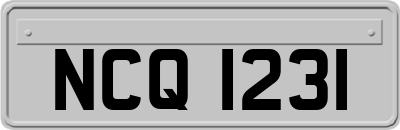 NCQ1231