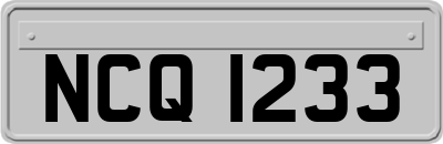 NCQ1233