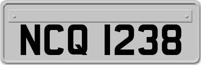 NCQ1238