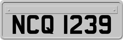 NCQ1239