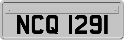 NCQ1291