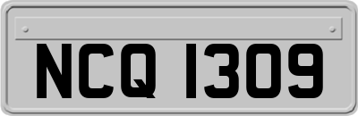 NCQ1309
