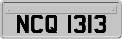 NCQ1313