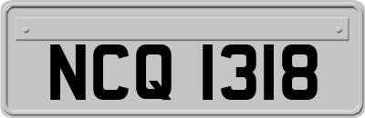 NCQ1318