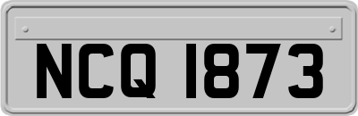 NCQ1873