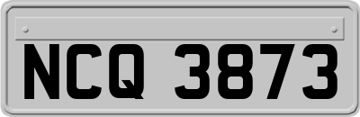 NCQ3873