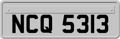 NCQ5313