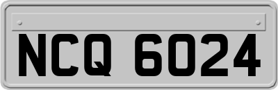 NCQ6024