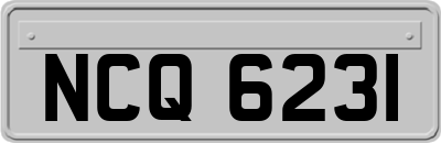 NCQ6231