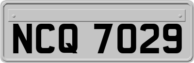 NCQ7029