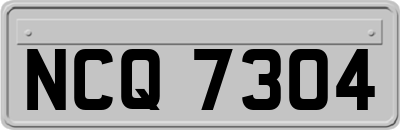 NCQ7304