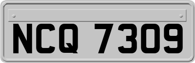 NCQ7309
