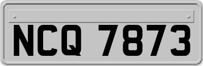 NCQ7873