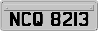 NCQ8213