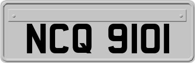NCQ9101