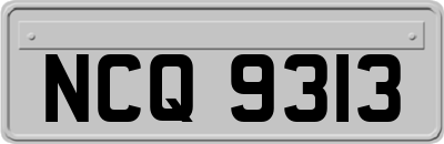 NCQ9313