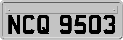 NCQ9503