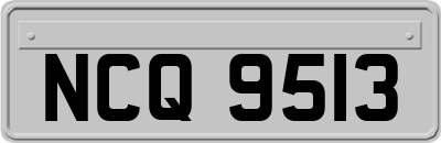 NCQ9513
