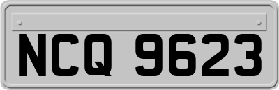 NCQ9623