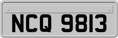 NCQ9813