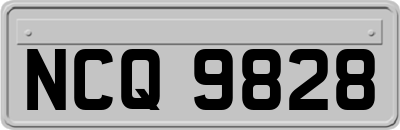 NCQ9828