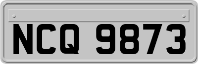 NCQ9873