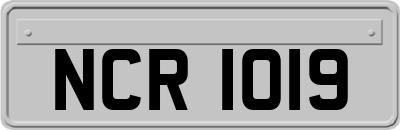 NCR1019