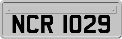 NCR1029