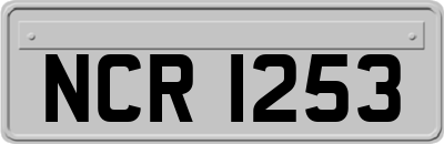 NCR1253