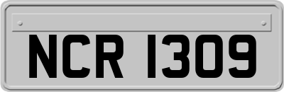 NCR1309