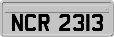 NCR2313