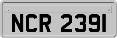 NCR2391
