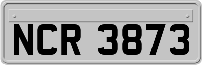 NCR3873