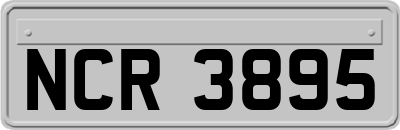 NCR3895