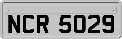 NCR5029