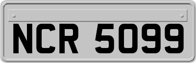NCR5099