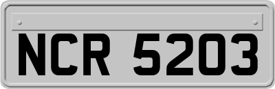 NCR5203