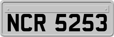 NCR5253